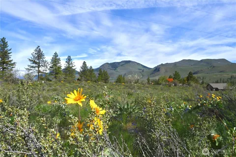 0 Green Meadows