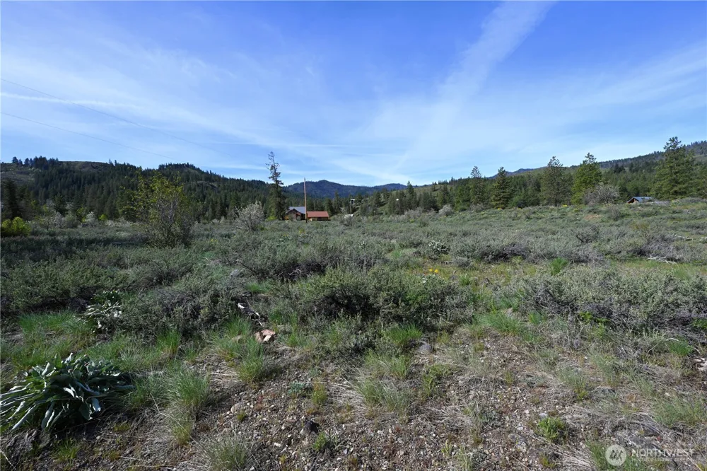 0 Green Meadows Winthrop, WA 98862