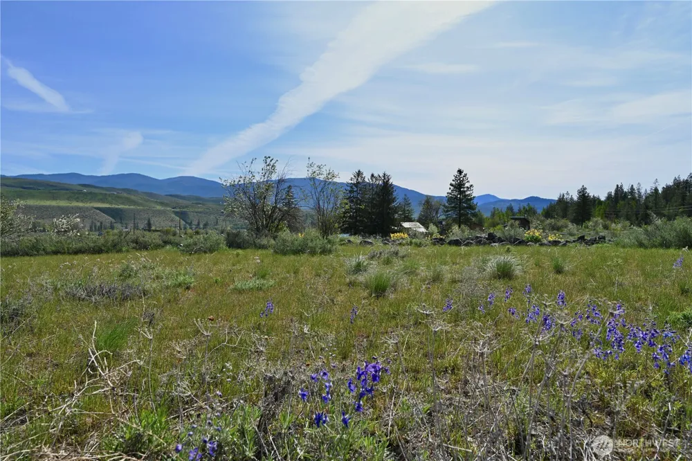 0 Green Meadows Winthrop, WA 98862