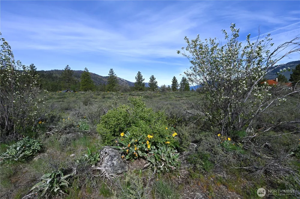 0 Green Meadows Winthrop, WA 98862