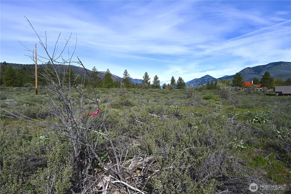 0 Green Meadows Winthrop, WA 98862
