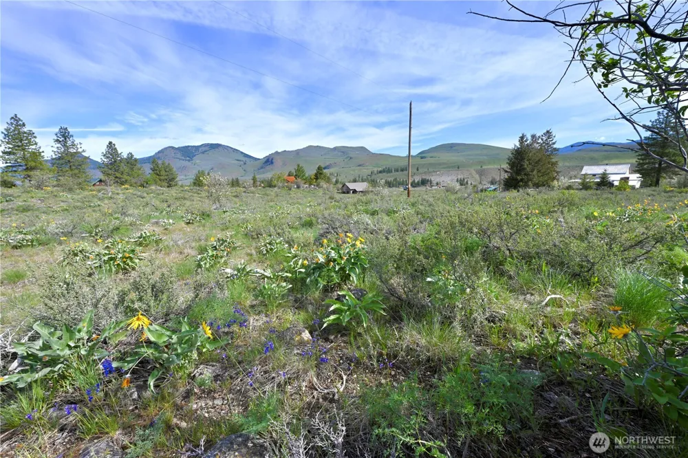 0 Green Meadows Winthrop, WA 98862