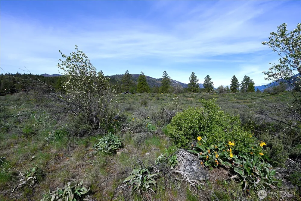 0 Green Meadows Winthrop, WA 98862