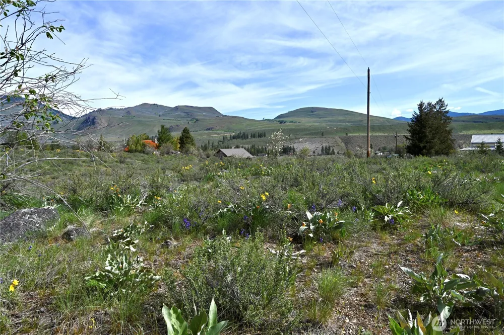 0 Green Meadows Winthrop, WA 98862