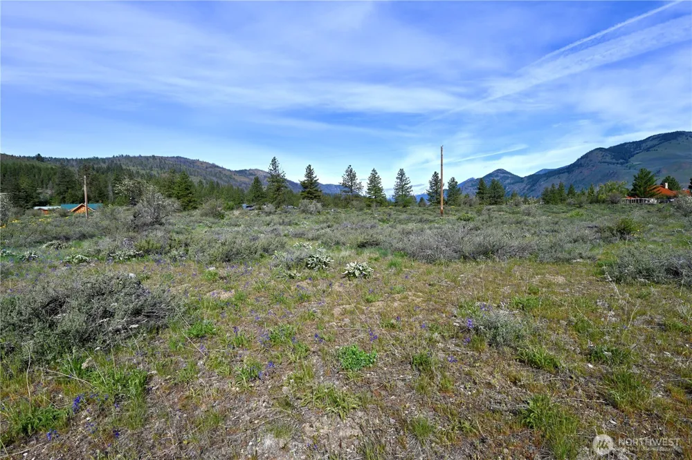 0 Green Meadows Winthrop, WA 98862