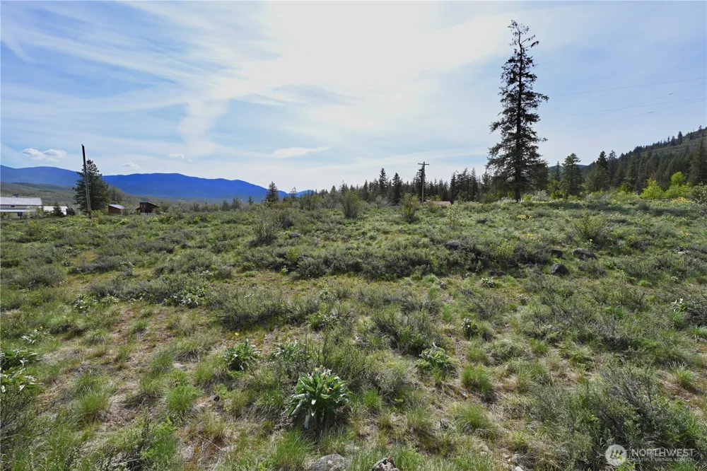 0 Green Meadows Winthrop, WA 98862