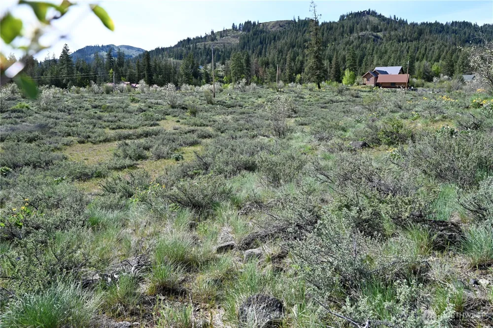 0 Green Meadows Winthrop, WA 98862
