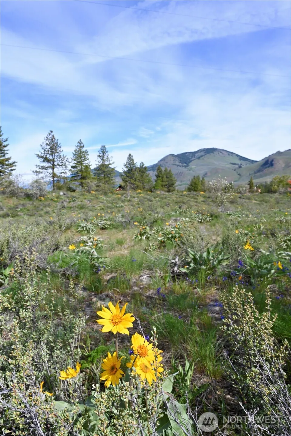 0 Green Meadows Winthrop, WA 98862
