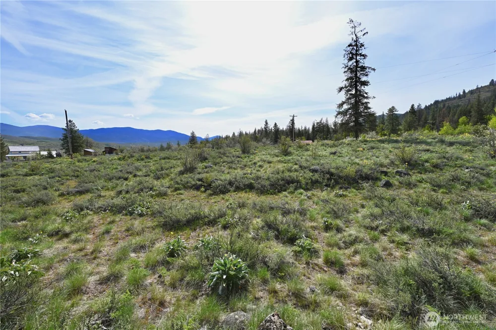 0 Green Meadows Winthrop, WA 98862