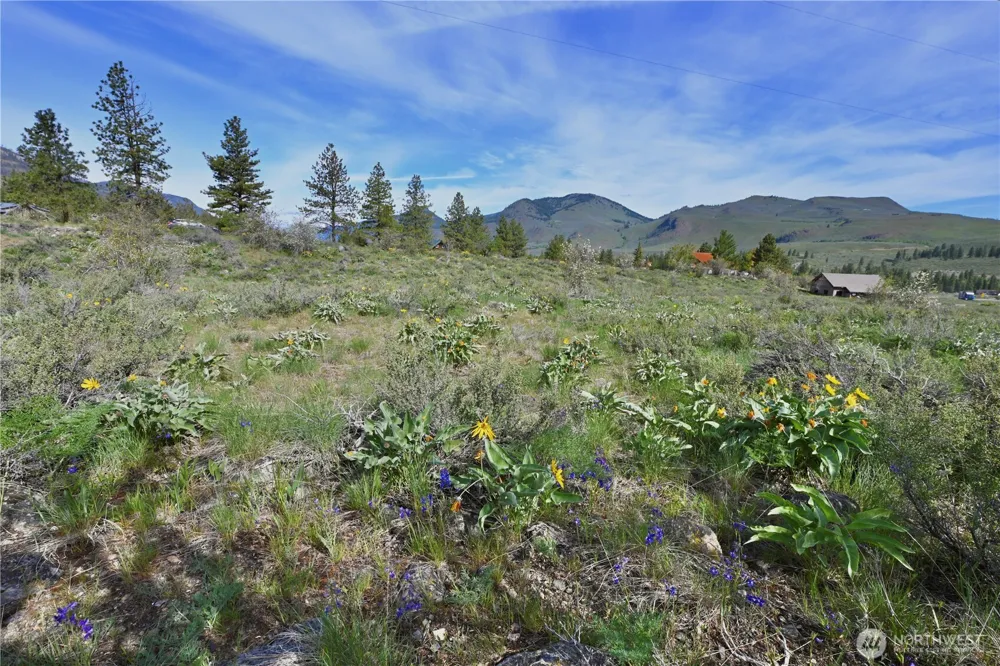 0 Green Meadows Winthrop, WA 98862