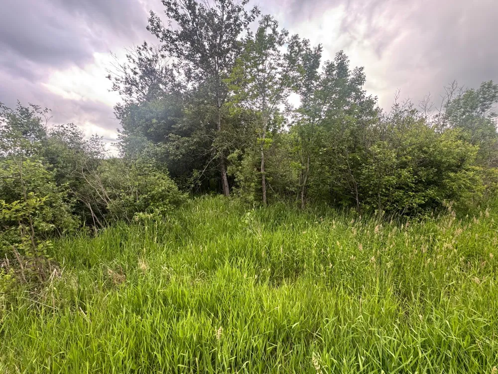 8xxx Townline Road Forbes, MN 55738