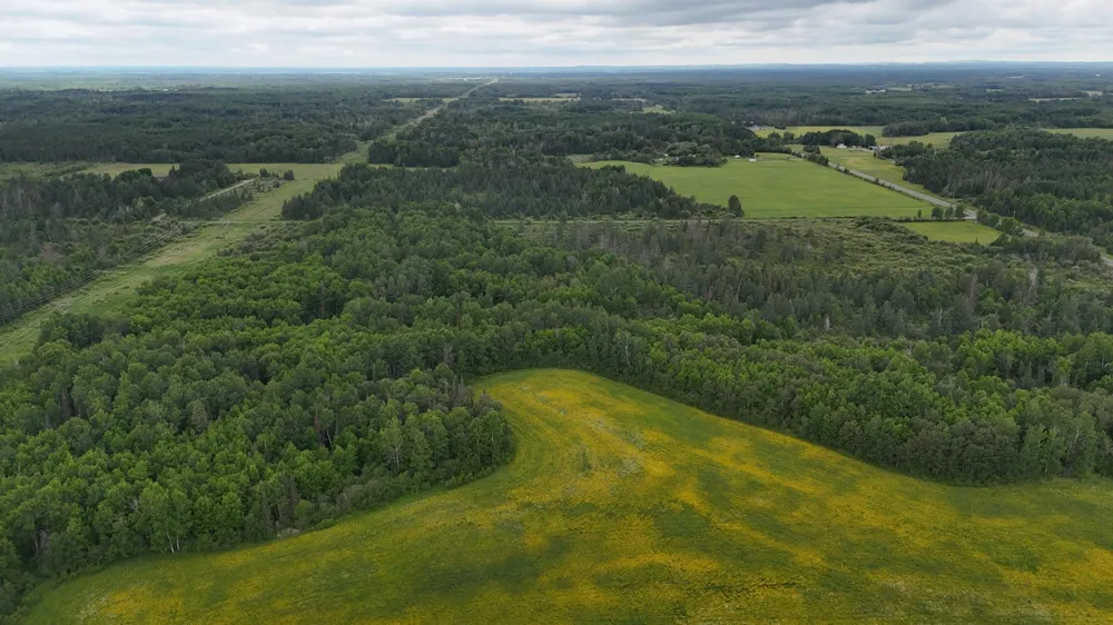 8xxx Townline Road Forbes, MN 55738