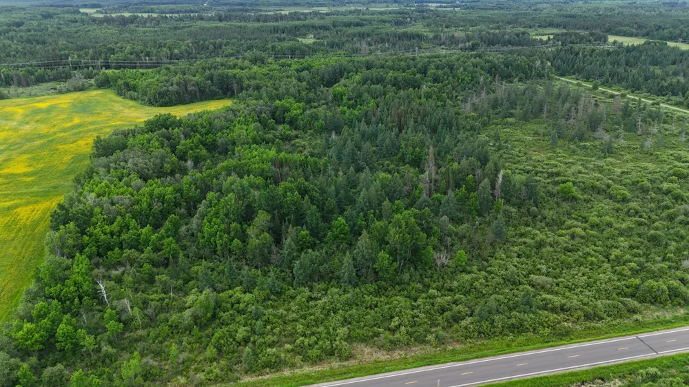 8xxx Townline Road Forbes, MN 55738