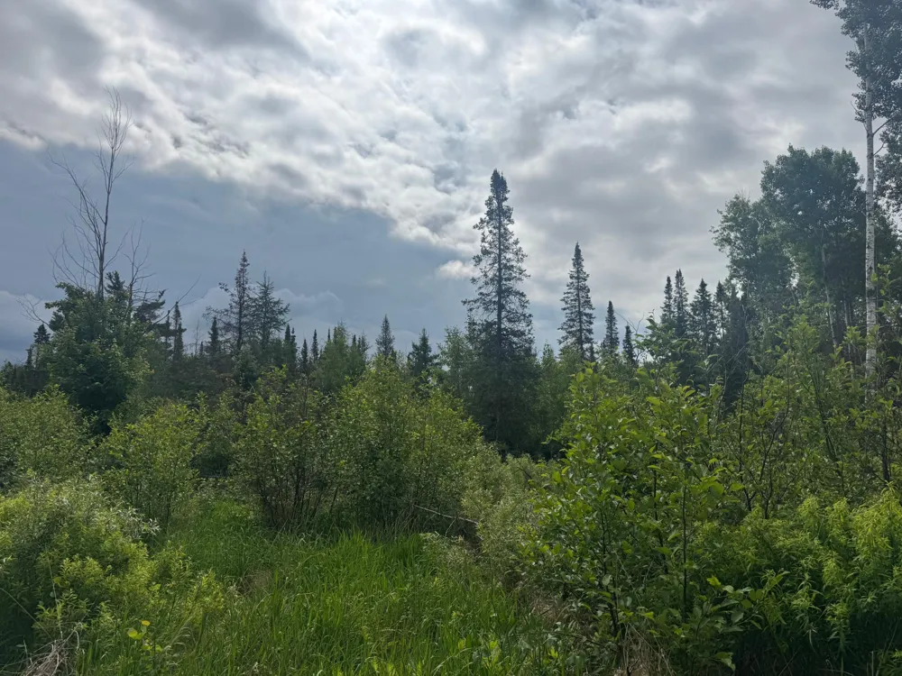 TBD Quaal Road Forbes, MN 55738