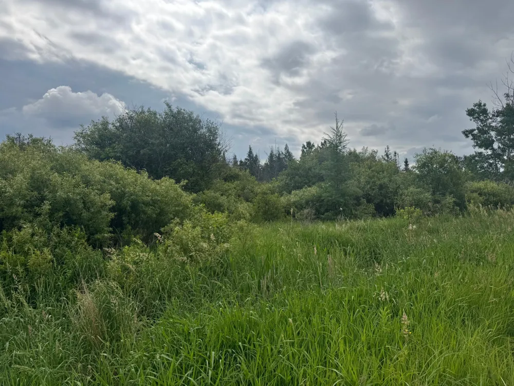 TBD Quaal Road Forbes, MN 55738