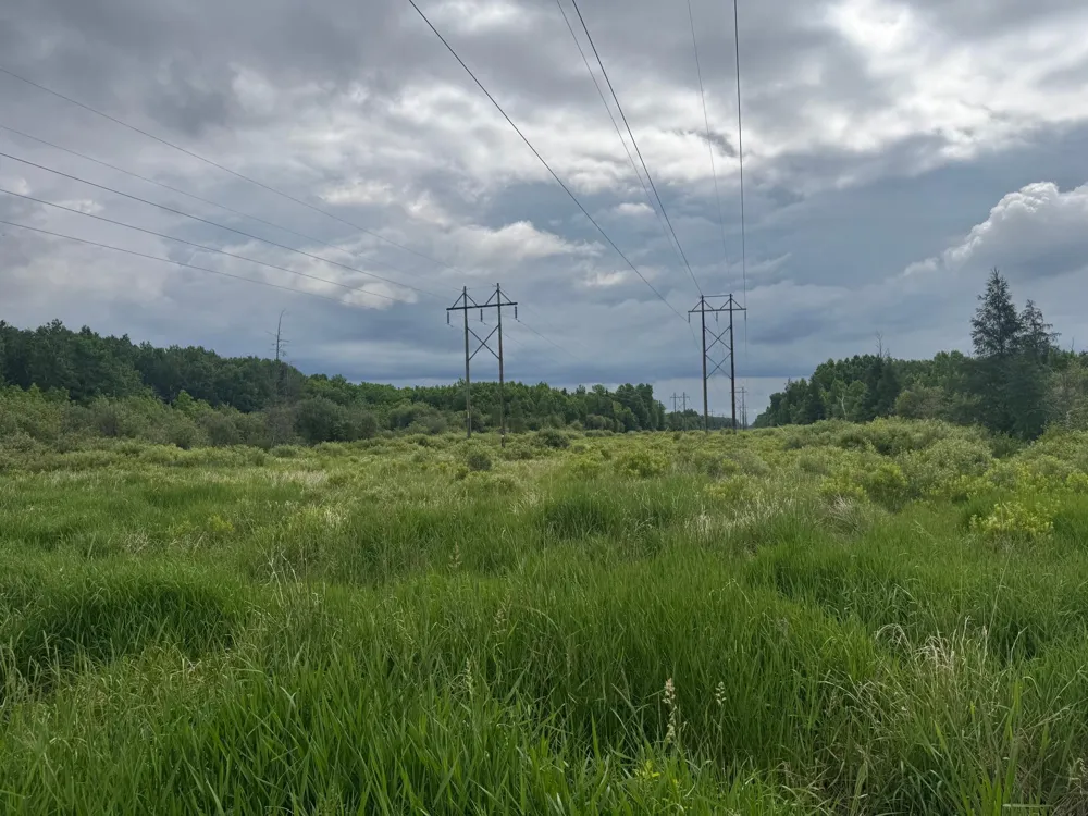 TBD Quaal Road Forbes, MN 55738
