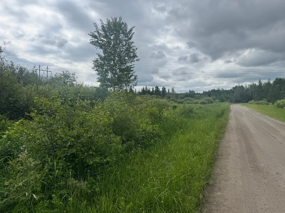 TBD Quaal Road Forbes, MN 55738
