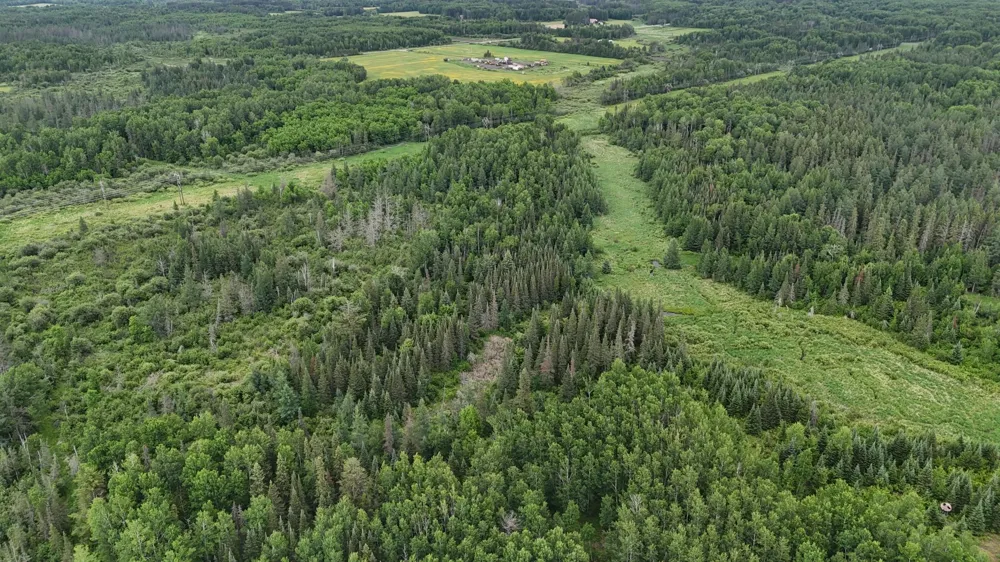 TBD Quaal Road Forbes, MN 55738