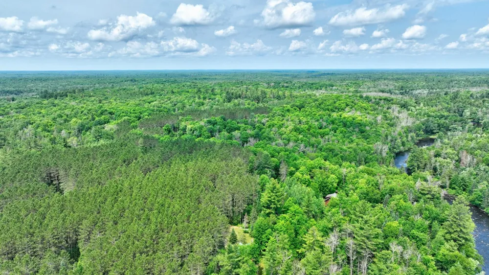9146N Chippewa Pines Way Winter, WI 54896