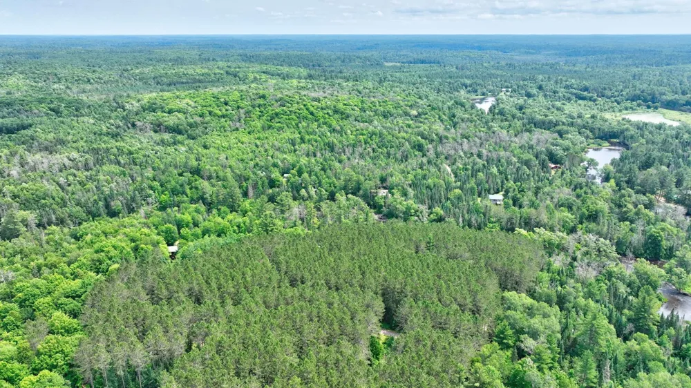 9146N Chippewa Pines Way Winter, WI 54896