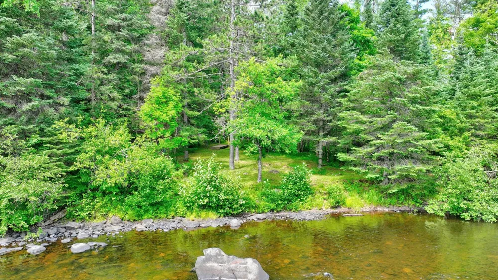 9146N Chippewa Pines Way Winter, WI 54896
