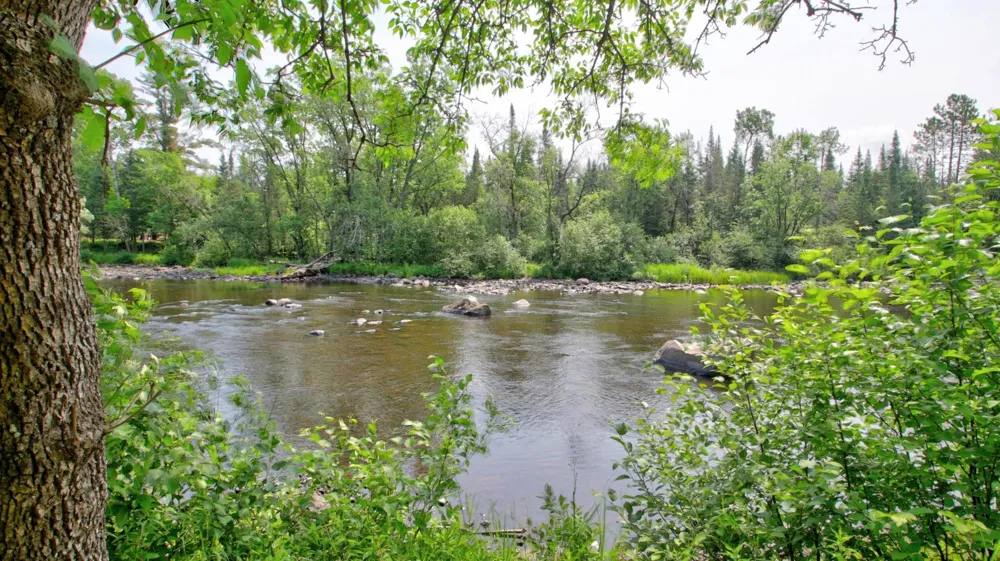 9146N Chippewa Pines Way Winter, WI 54896