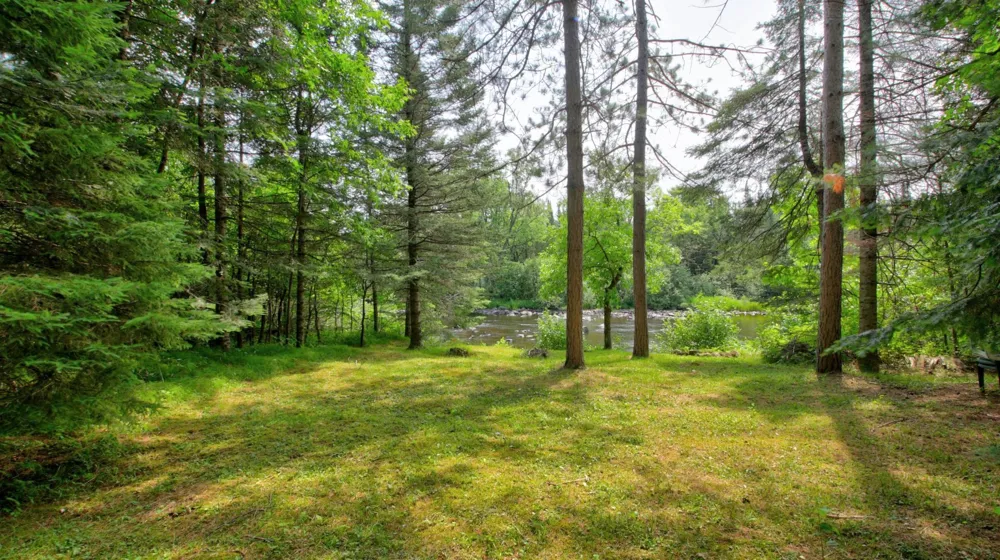9146N Chippewa Pines Way Winter, WI 54896
