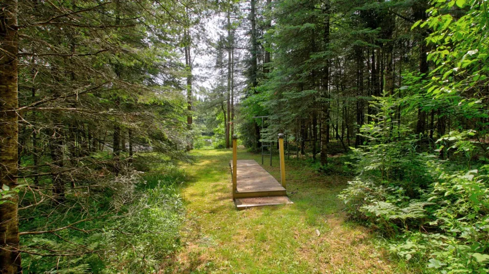 9146N Chippewa Pines Way Winter, WI 54896