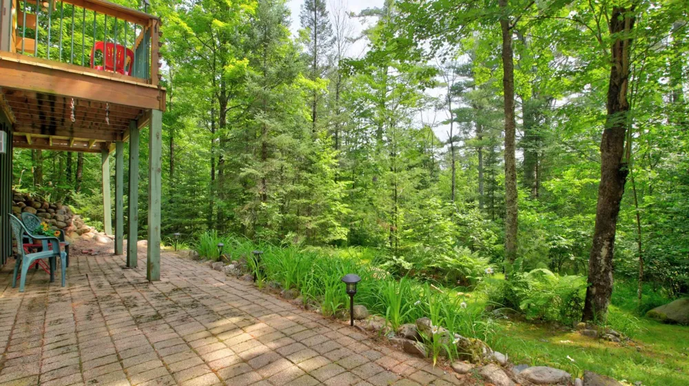 9146N Chippewa Pines Way Winter, WI 54896