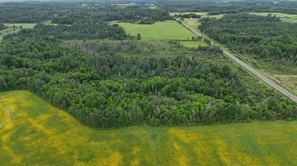 TBD Townline Road Forbes, MN 55738