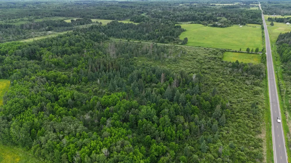 TBD Townline Road Forbes, MN 55738