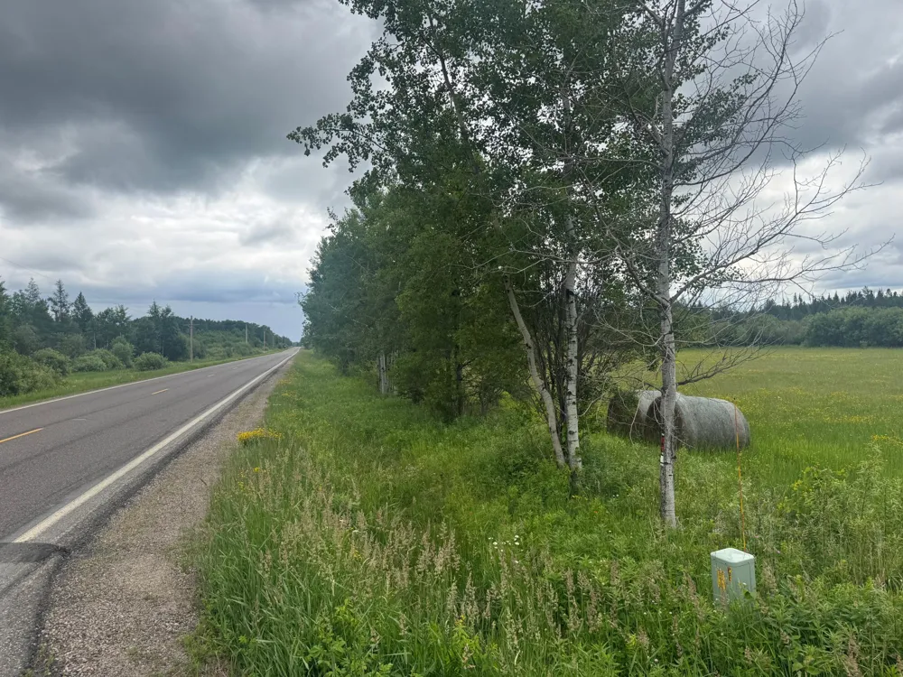 TBD Townline Road Forbes, MN 55738
