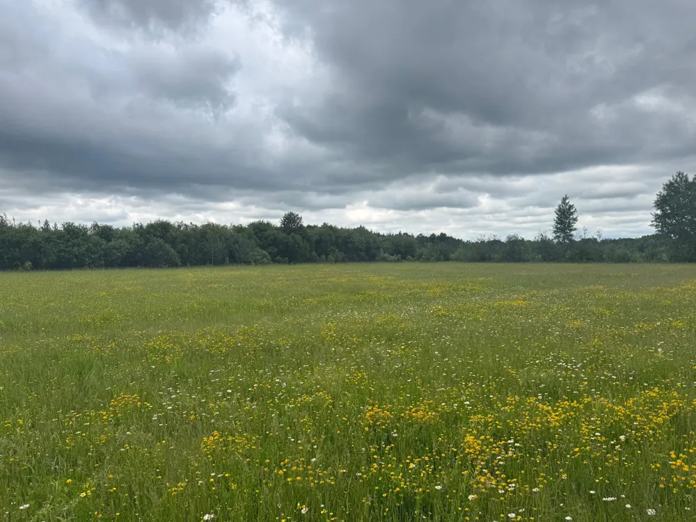 TBD Townline Road Forbes, MN 55738