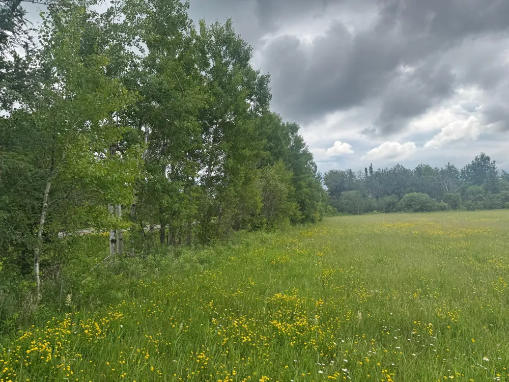 TBD Townline Road Forbes, MN 55738