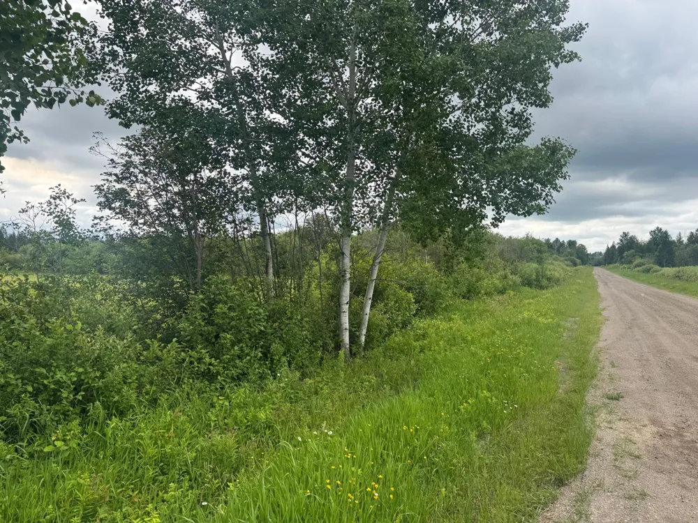 TBD Townline Road Forbes, MN 55738