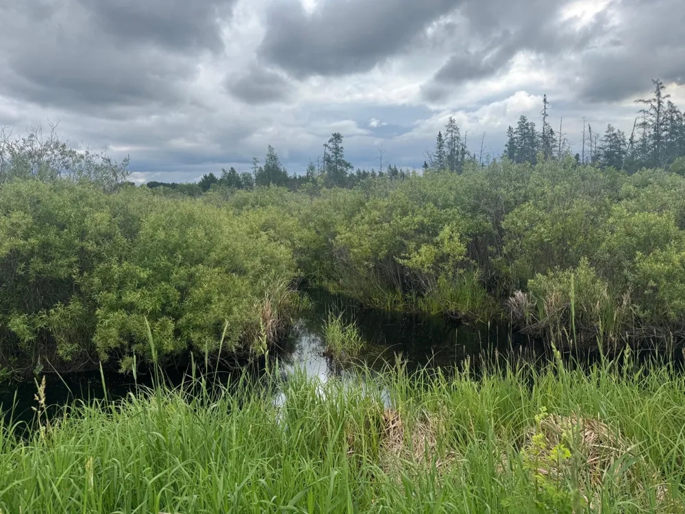 TBD Townline Road Forbes, MN 55738