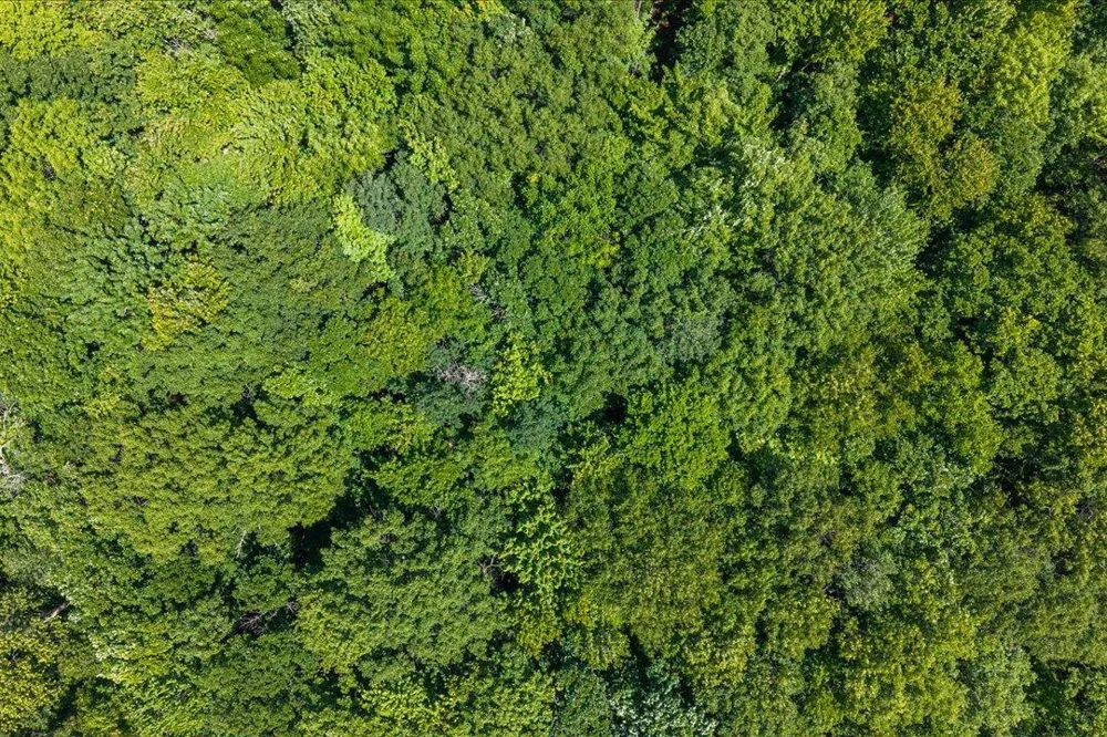 Tract A Maghan Road Deerwood, MN 56444