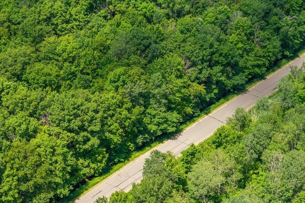 Tract A Maghan Road Deerwood, MN 56444