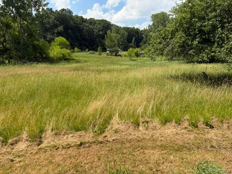 3515 Morton Road Stockbridge Township, MI 49285