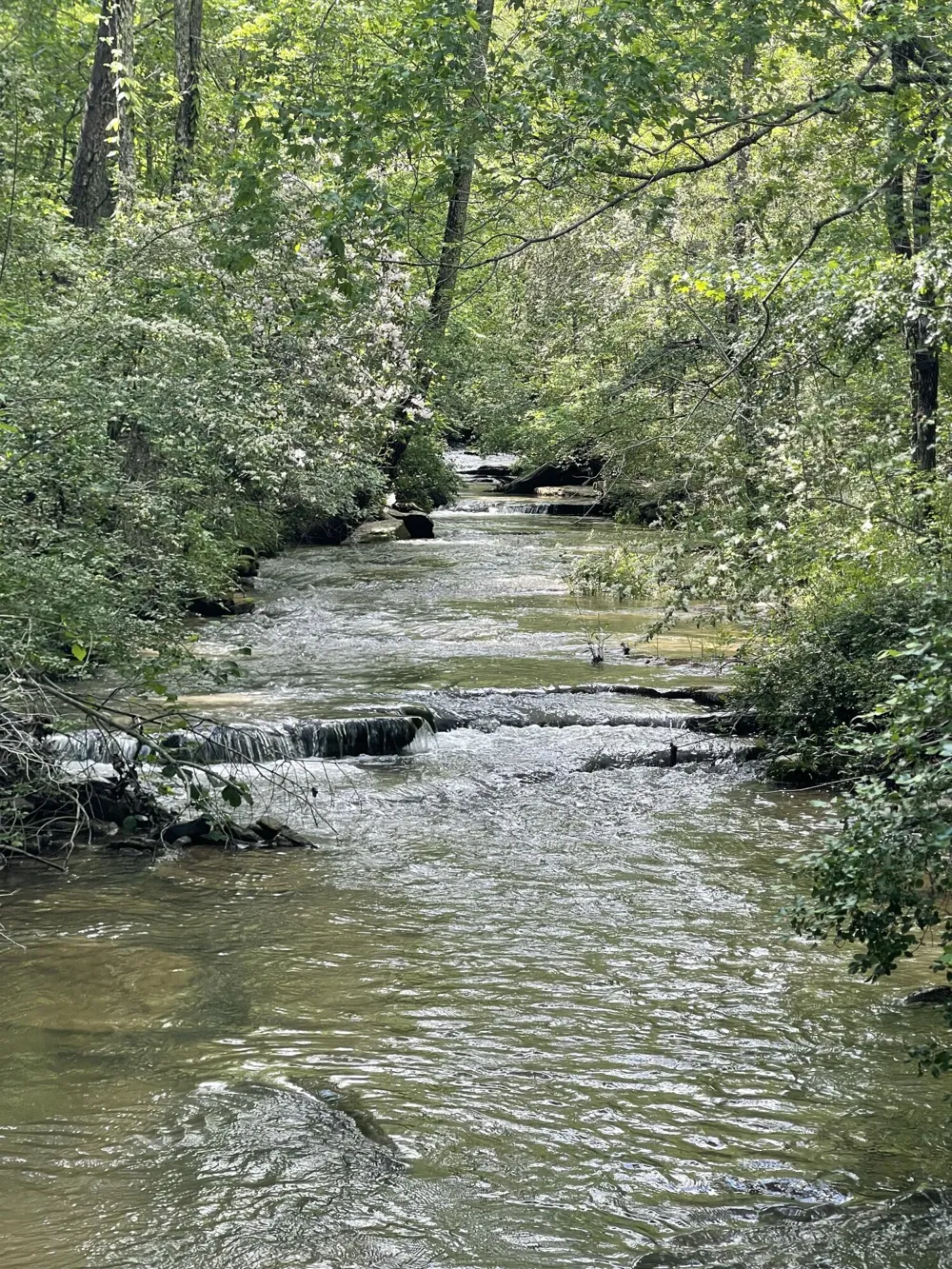 778 County Road 65 Collinsville, AL 35961