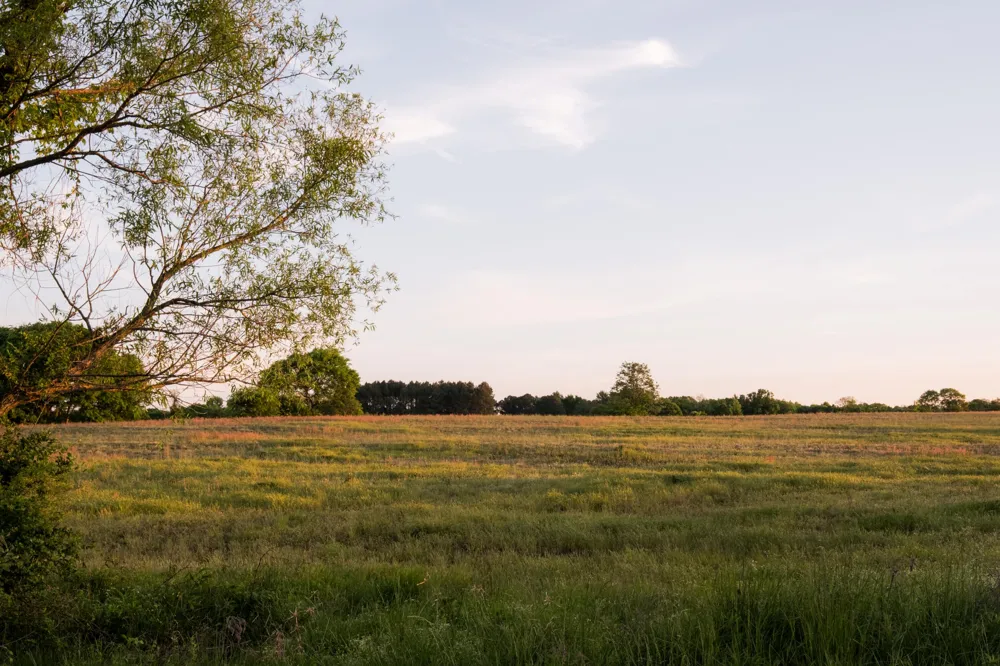 778 County Road 65 Collinsville, AL 35961