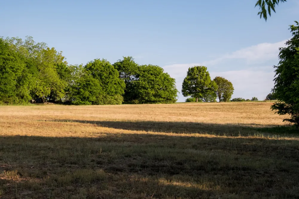 778 County Road 65 Collinsville, AL 35961