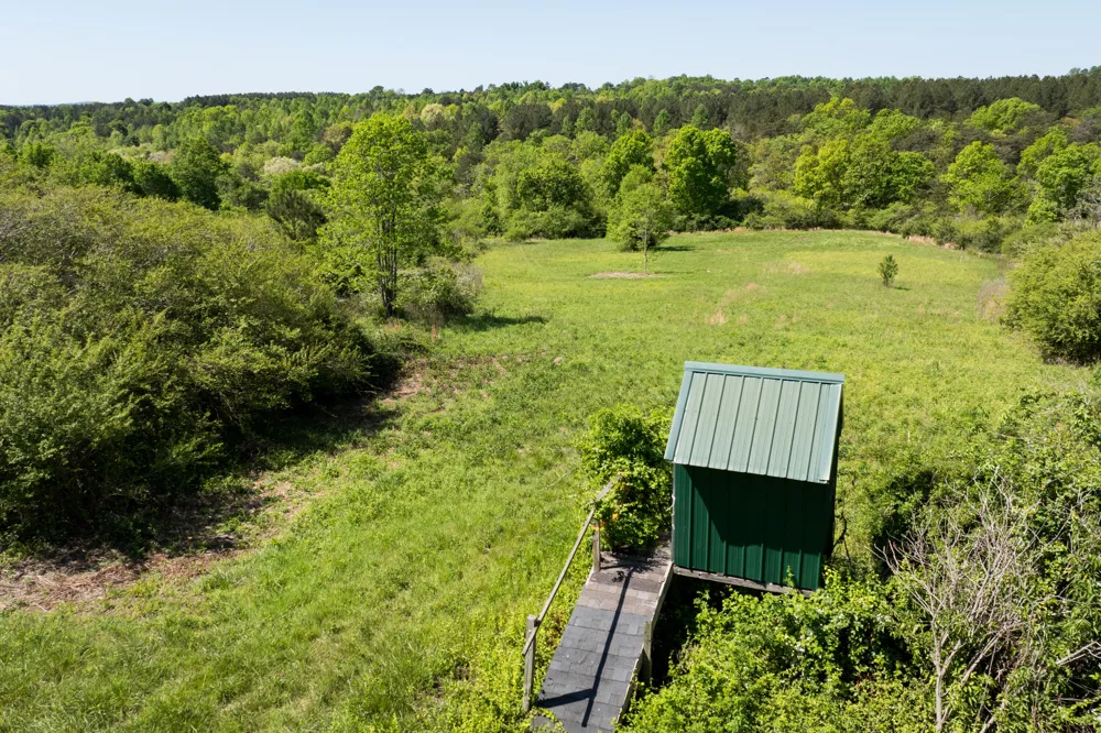 778 County Road 65 Collinsville, AL 35961