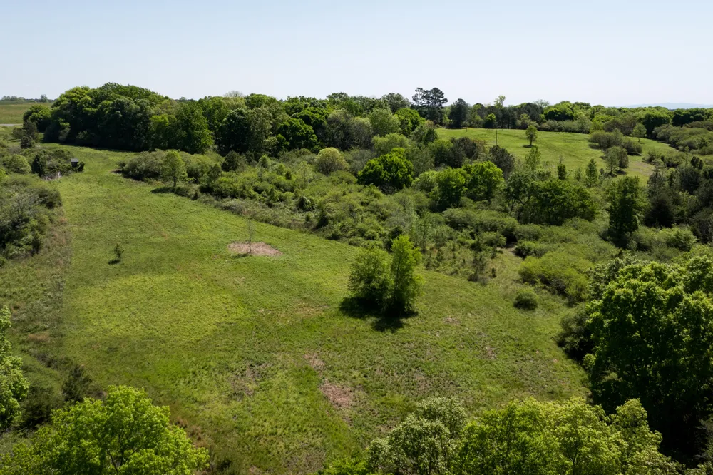 778 County Road 65 Collinsville, AL 35961