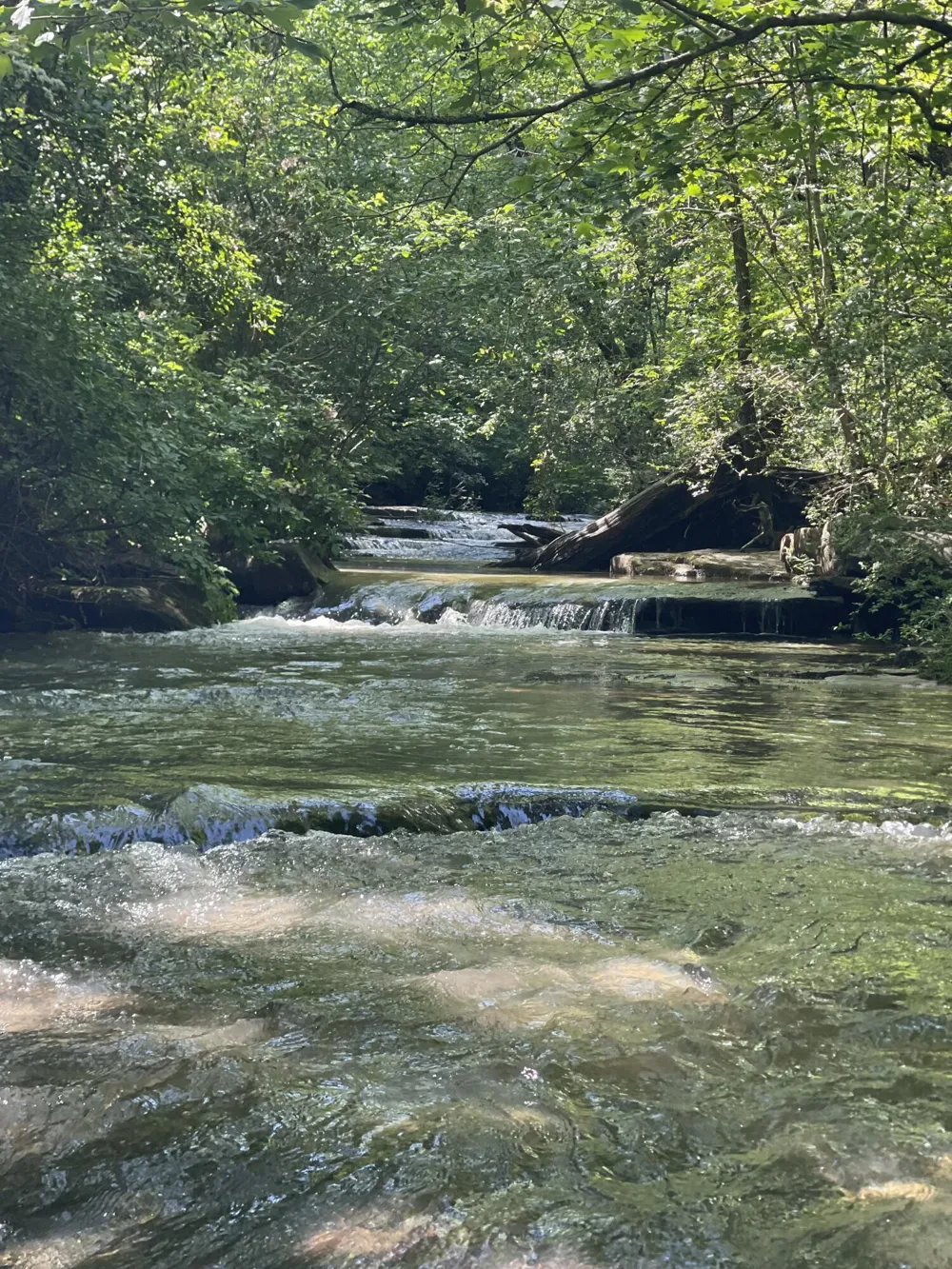 778 County Road 65 Collinsville, AL 35961