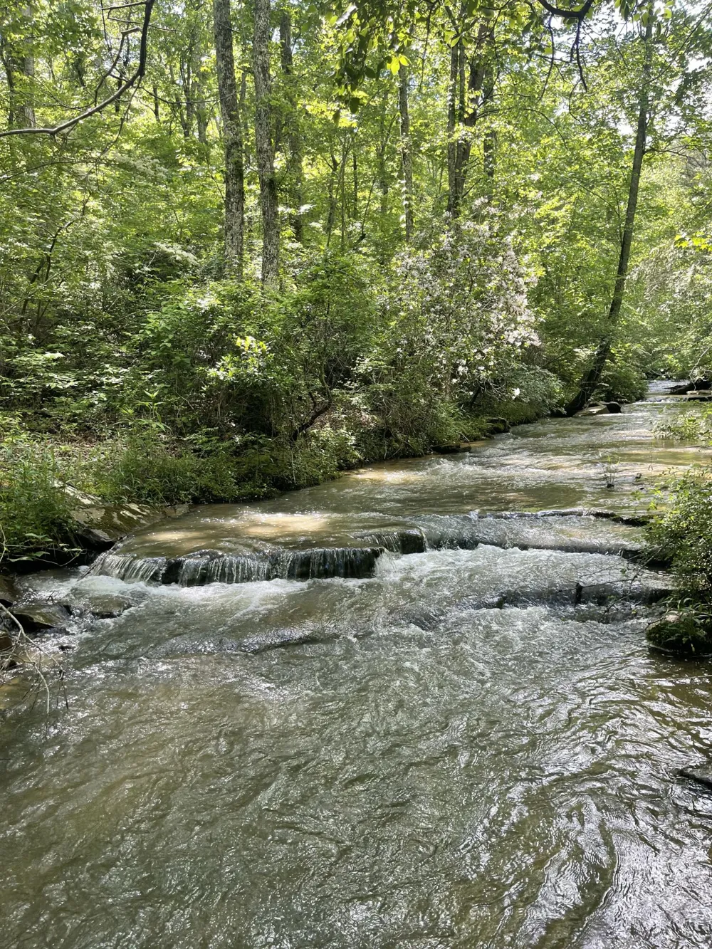 778 County Road 65 Collinsville, AL 35961