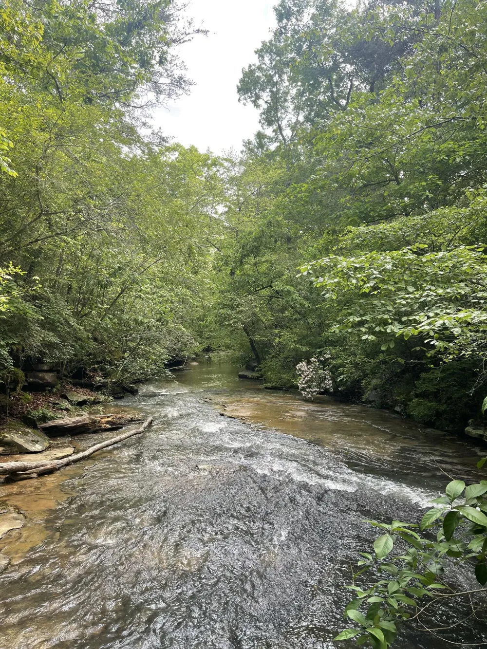 778 County Road 65 Collinsville, AL 35961