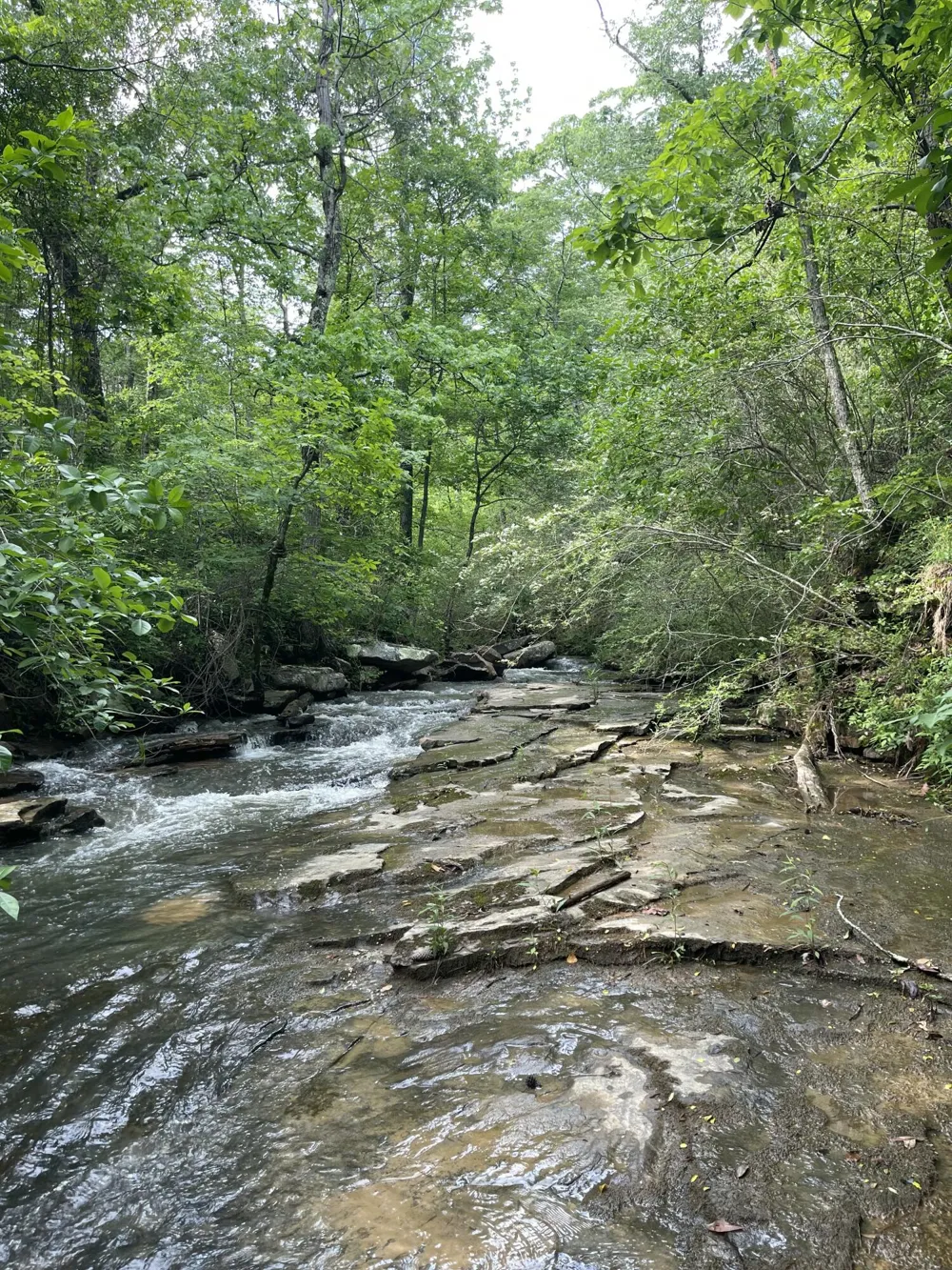 778 County Road 65 Collinsville, AL 35961