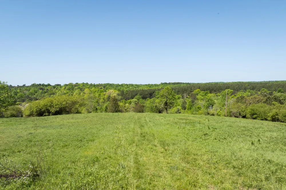 778 County Road 65 Collinsville, AL 35961