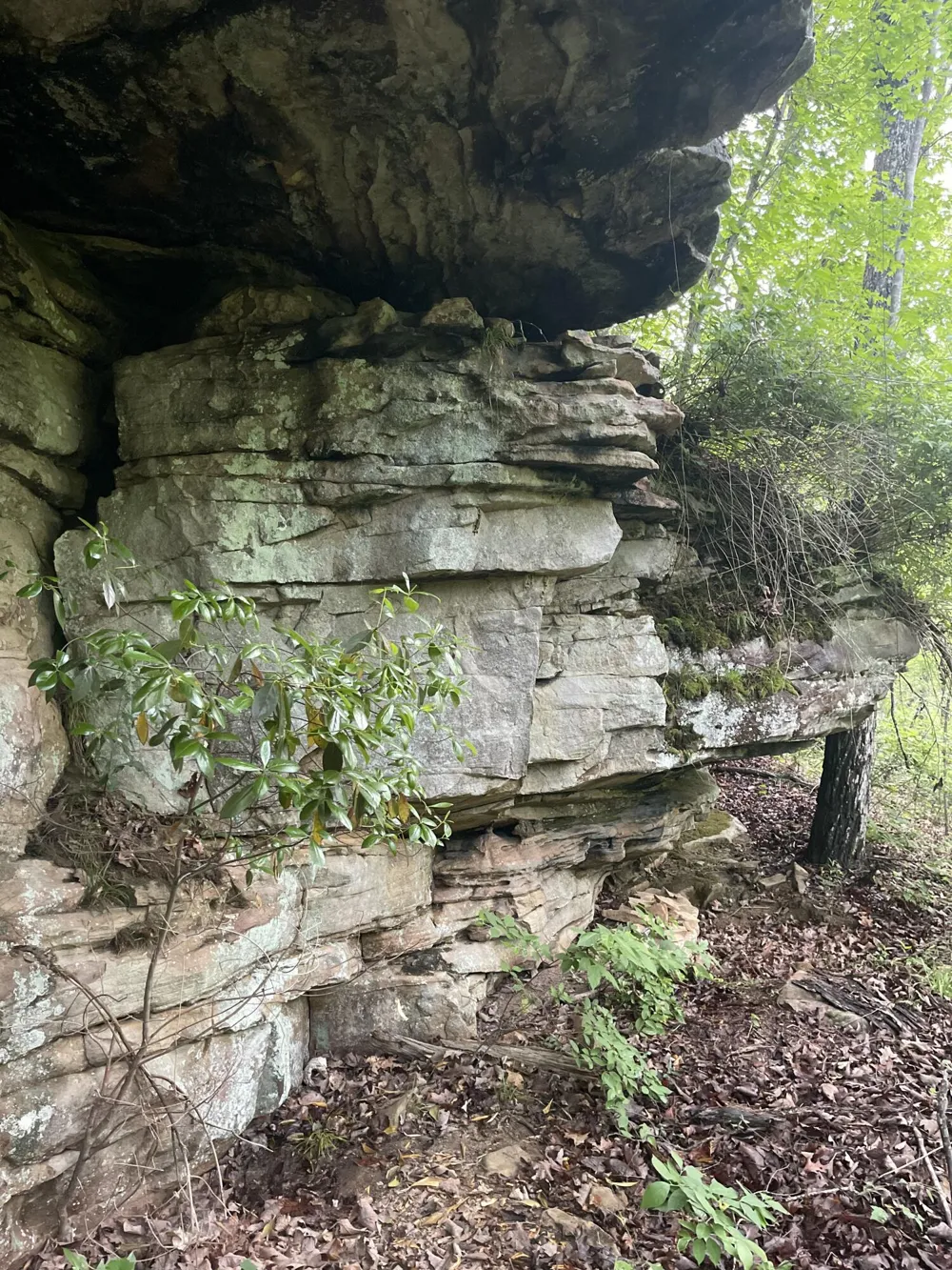 778 County Road 65 Collinsville, AL 35961